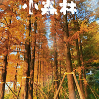 �����������µĺ�ɼ��