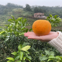 ��̳�����ǧĶ��԰��ȥժ�˹����Ⱥ��������١�