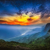 ����1984�ף�ˣѩ�ɲ�����סƷ�ʾƵ꣬����ɽ�Ķ����ֱ����