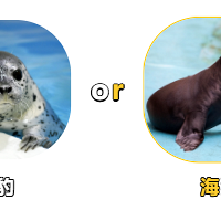 �㻹�ֲ��庣ʨ�ͺ����𣿿�������ٲ��������