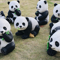 �����½����մ򿨵أ����ɰ�����èȺ�乫԰��̫����