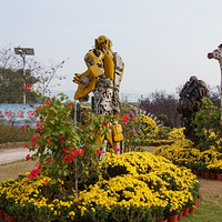 ȥ��˻�������չ