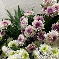 ��PDD�����ʻ��������ף�����30Ԫ���ײ⣡