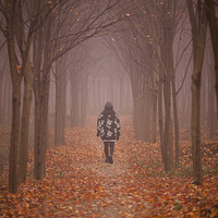 ����һ�����磬�����ĵ���һ���ĺ����