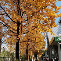 �������õ�԰��԰