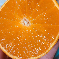 �Ƽ����㣺����38�Ź�����̫�ó��ˣ�