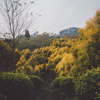 �����ũ��-�����������