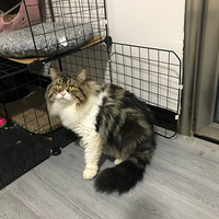 �Ҳ�������ֻ�ǿɰ�������