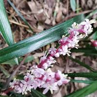 ·���ĵĻ�������֪��