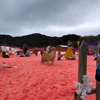 �����䣬��ѩ��