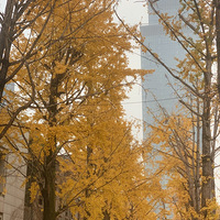 �山��������ӵ���ѹ��͵�