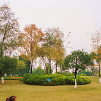 5���߽�·���վ����һ���Ҹ���԰