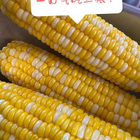 ��������ˮ�����ף�һ����������������ˮ��ͱȿϵ»��ĺó�