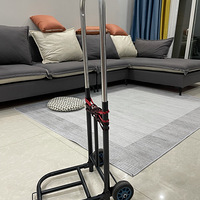 ���ڣ�����PDD����������