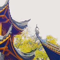 ��ɽһ���Ρ�