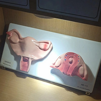 ĳɳĴڣһһѽ