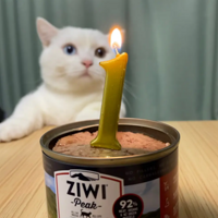 �ļ����µĻ���üë