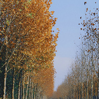 ��һ�ܶ��Ǻ���������ȥ��������������