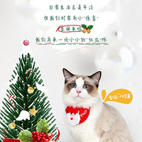 ��ż�ܵ����ף���