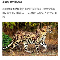 ��Щ����ɵɵ�ֲ���������ϴ��˼�����