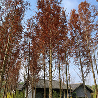 �����壬���ǵ�������Դ