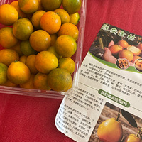 ��Ƥһ��ԵĴ���Ľ�ۣ������ó�