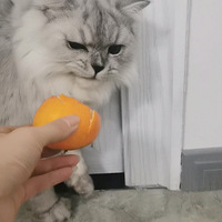 һ��Ҫ������ȥ��è�����������������±���