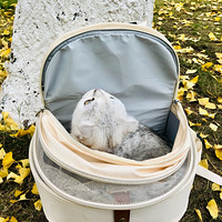 ��è������Σ���������̽ͷ̽��