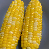 �����ˮ�����׿��Գ壡֭ˮ��������