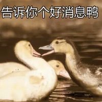 ������������������3Сʱֱ������������С�����������̫ˬ�ˣ�