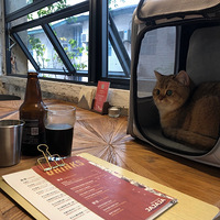 �Ҿ�����ɹһɹ�ҵ�ë����