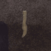 ҵľջһг棡ҽҴҵ30궼ûⲡ