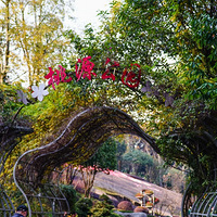 ���οո���Դ��԰