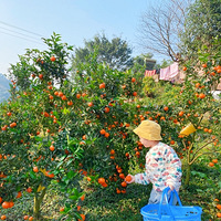 ˣ޶ȥժӣӱٳԸڰ̫