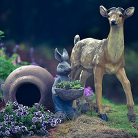 �ڳ�Ժ����԰��