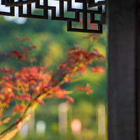 С��������δȥ����������1Сʱȥɽ���Ѱ��ɫ��԰��