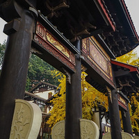 12�º����ݶ���������ѿ���--ȥ����