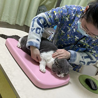 ����ֵСè������