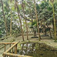 �����Ӱ��������ݿ����ϣ����������������ƹ�԰��԰�־��۲���