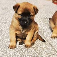 Ŵߴߴ�Ⱥ������ཱུ�С�̹��Ҽҿ���