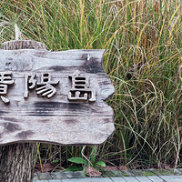 �ٵ��Ĺ�����