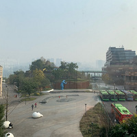 ����������ͽ��ʯ�������Ҷ�����������·���Ƶ������ں��