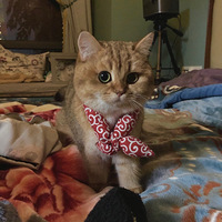 �Һð�����ϣ�����������еı���������ů�ļ�