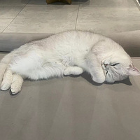 ����ë�� �����Ը��������֣�Ҳ������������ף��ʺ��죡