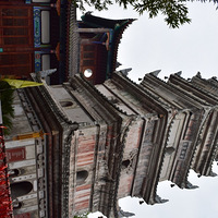 ��ƺ�¡����˶�