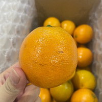 һҳȣ