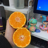 ƴϦϦθ̣512飡