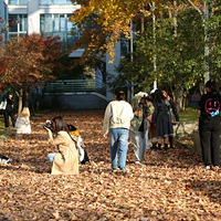 �����ζ��