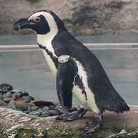 ���춯��԰������