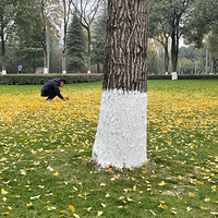 һյ빫԰žָɽӶ